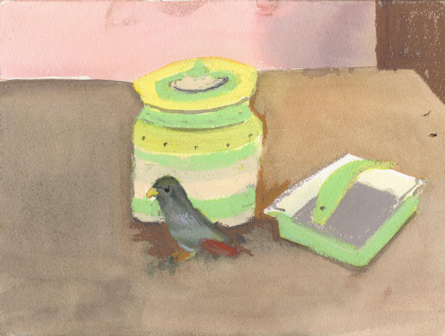 Parrot on the Table Mixed media- watercolour:pastel 17cm x 24 cm unframed