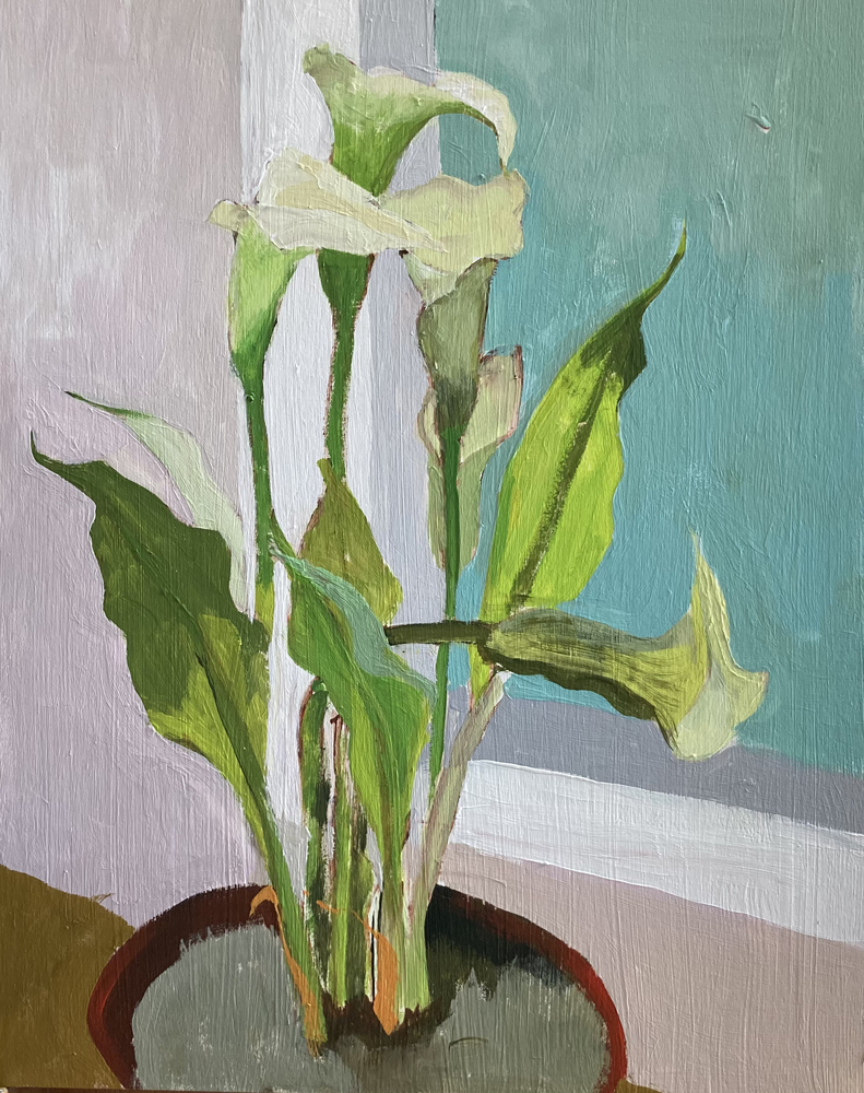 Arum Lilies in a pot Gouache on wood panel